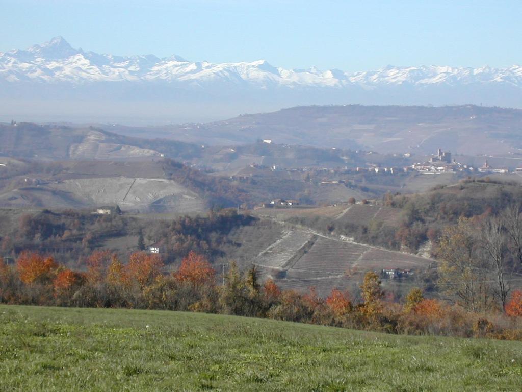 Cascina Il Ginepro Konuk evi Sinio Dış mekan fotoğraf